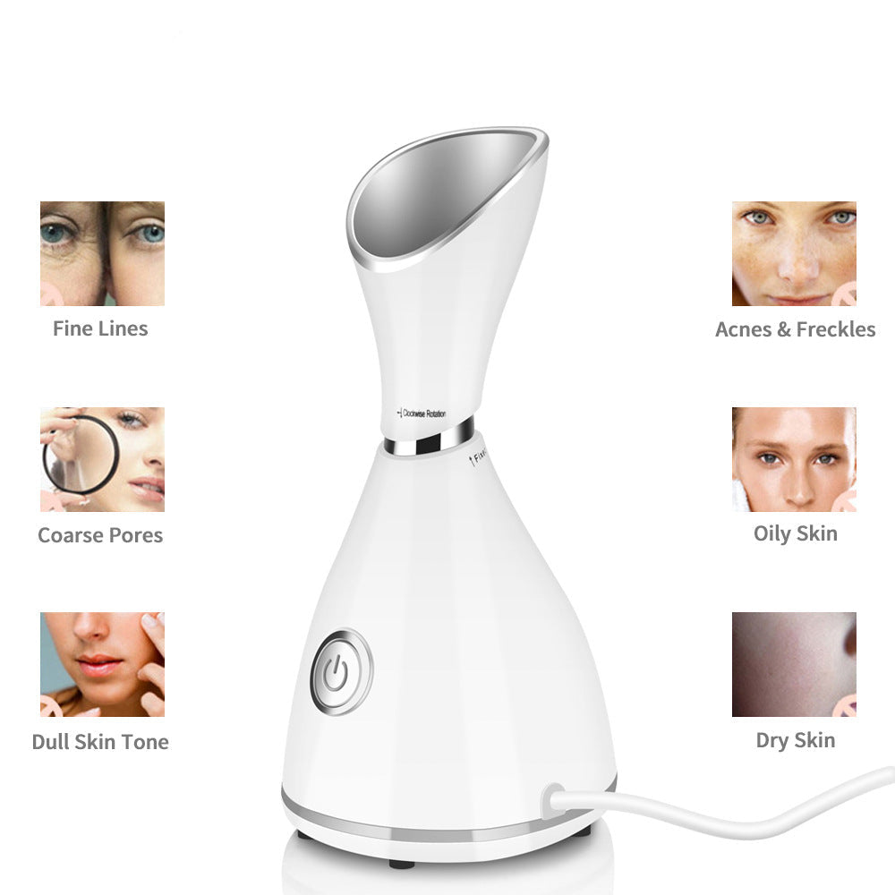Face Beauty Steamer