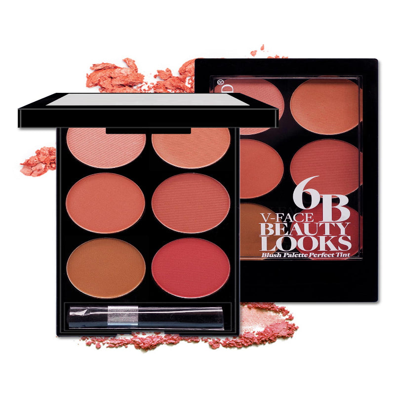 Six-Color Blush Repair Makeup
